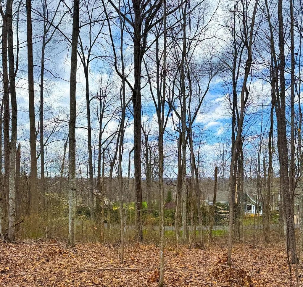 Property from TBD Stonewall Rdg #TBD - KW - Bristol, Virginia, 24202