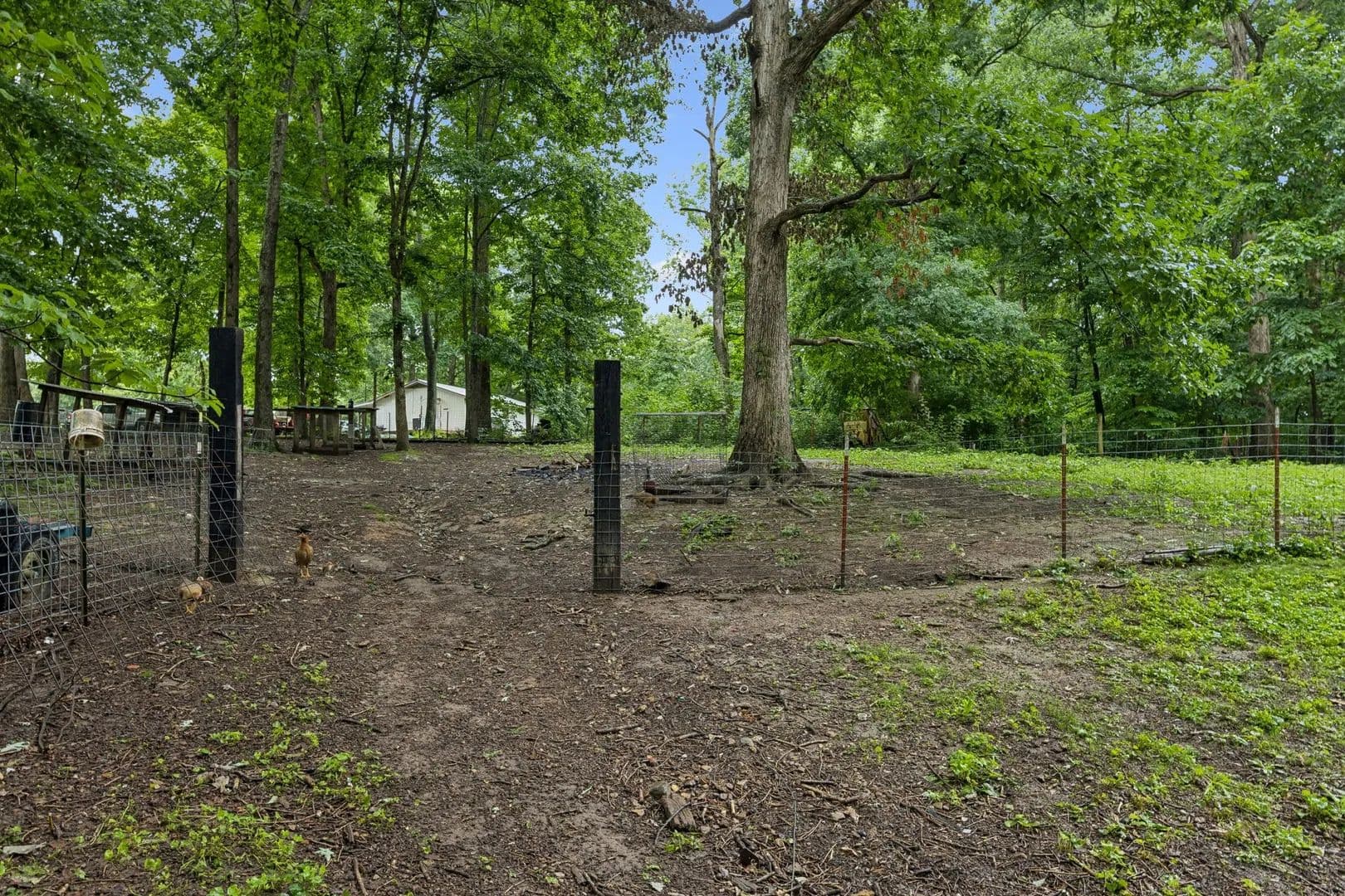 Property from 5849A Bending Chestnut Road - KW - Franklin, Tennessee, 37064