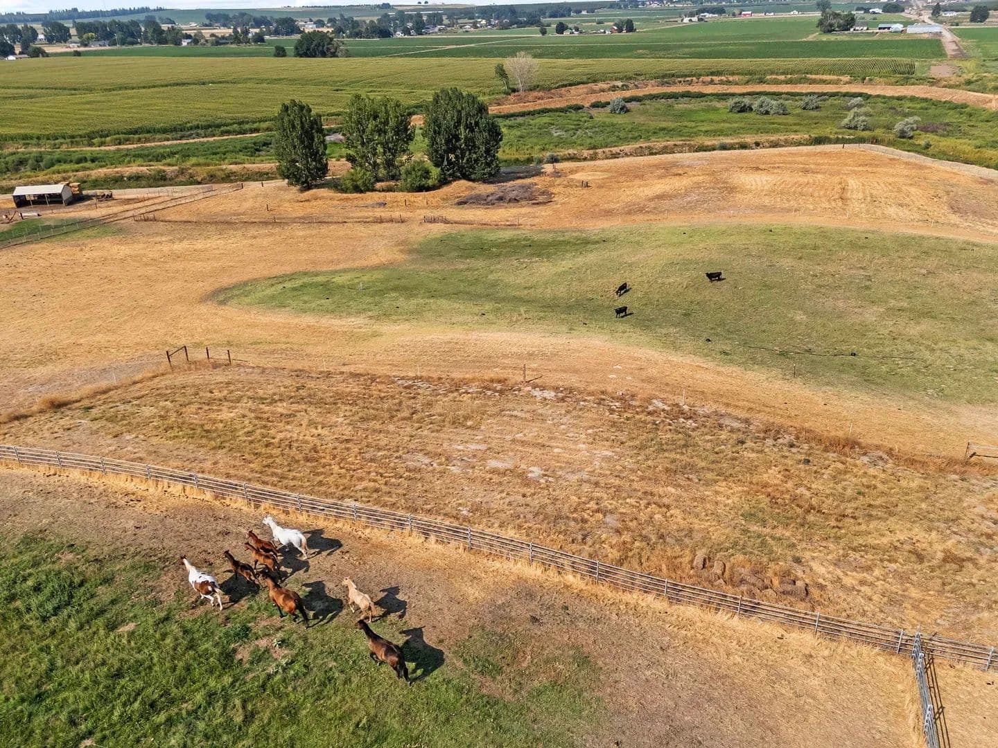 Equestrian Estate Lot - land for sale