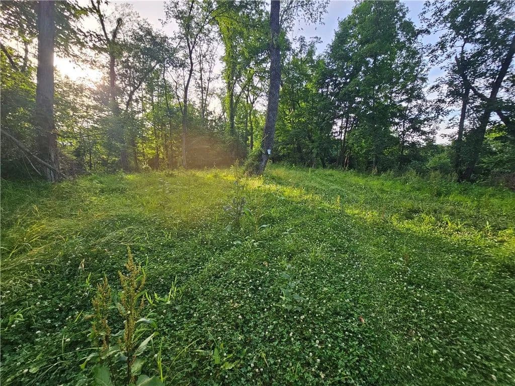 150 Acres of Land for Sale in Independence, PA - Independence, Pennsylvania, 15312