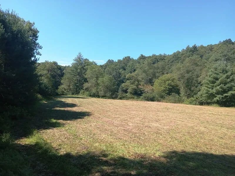 Vacant Land (0-10 Acres) in Laurel Springs - Laurel Springs, North Carolina, 28644