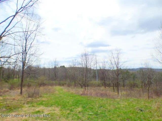 53.98 Acres of Land for Sale in Nicholson, PA - Nicholson, Pennsylvania, 18446