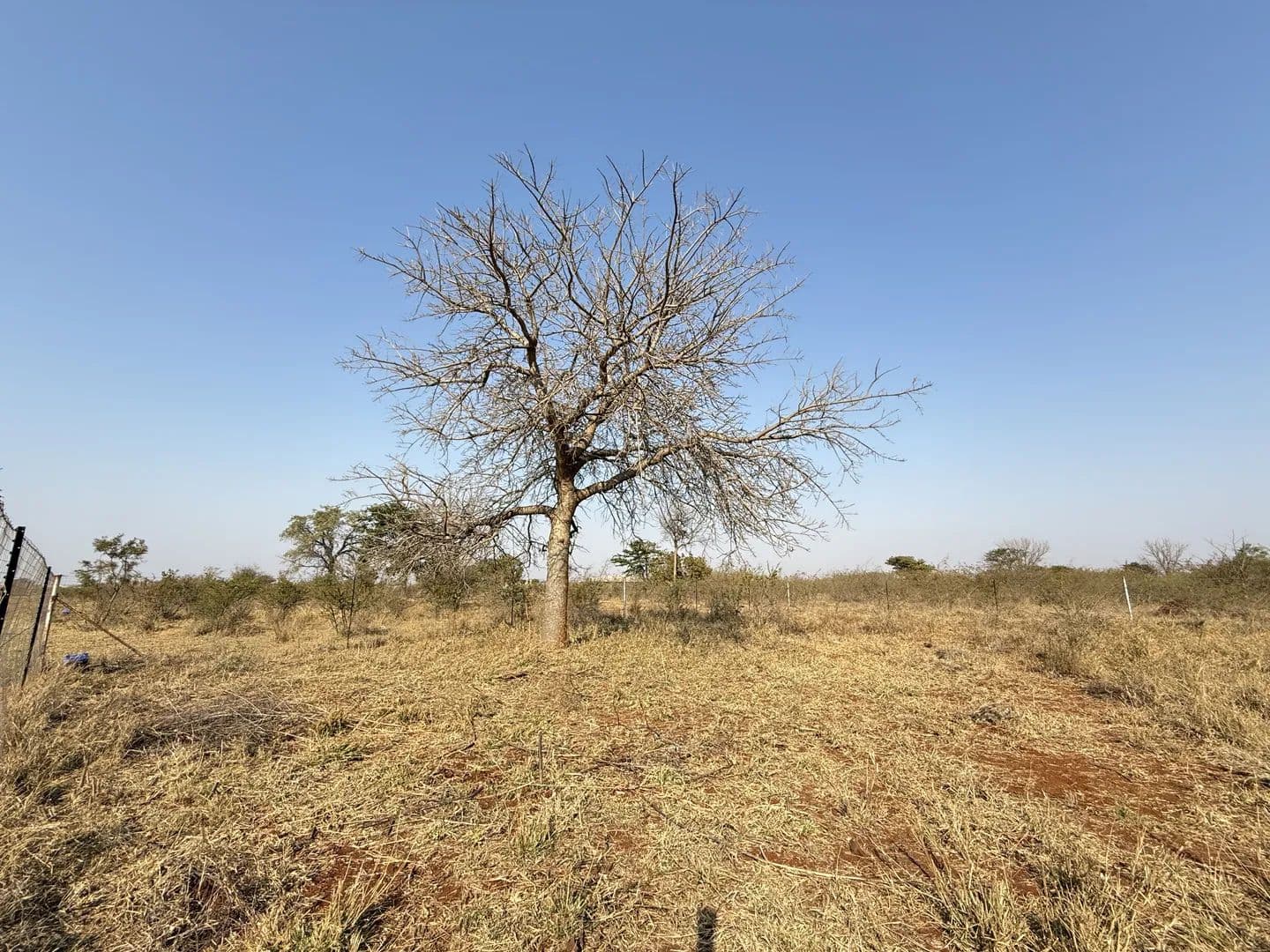 452 Acres of Land for Sale in Polokwane, Limpopo - land for sale