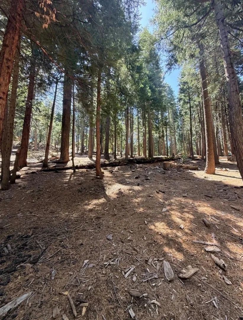 Lots & Land-Other in Arnold - Arnold, California, 95223