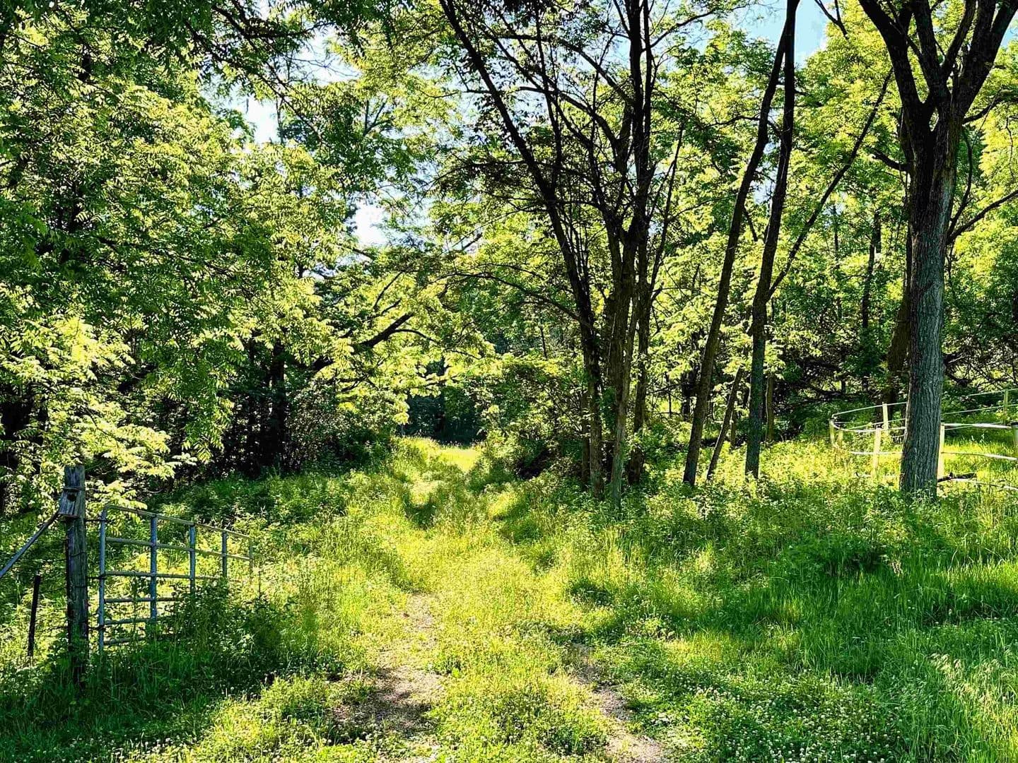26 Acres of Land for Sale in McGregor, Iowa - McGregor, Iowa, 52157
