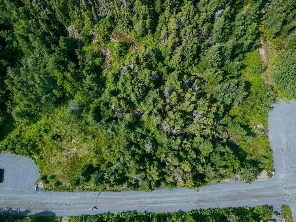 Land for Sale in Sandy Cove, NL - land for sale