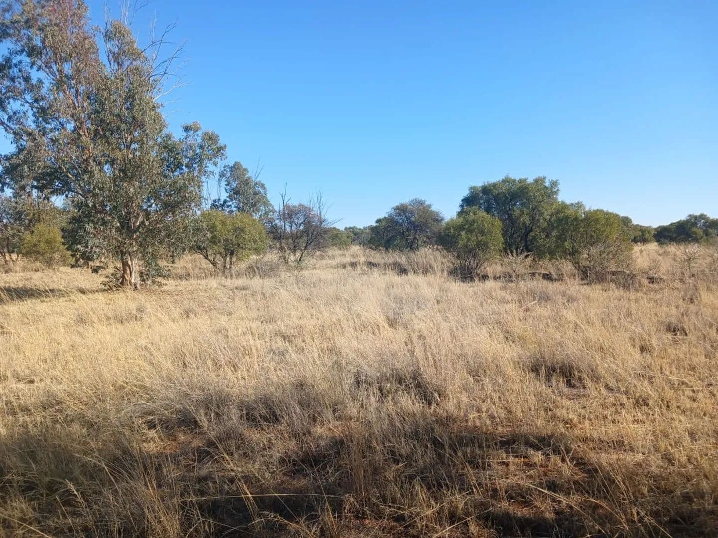 Land for Sale in Vryburg, North West - land for sale
