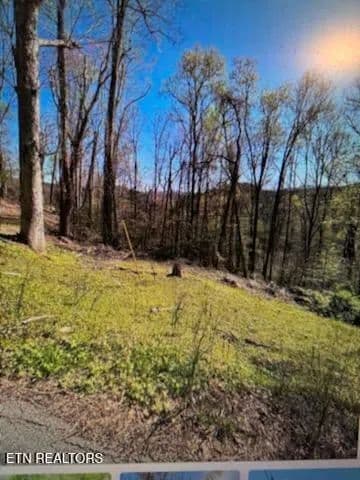 17 Acres of Land for Sale in Gatlinburg, TN - Gatlinburg, Tennessee, 37738