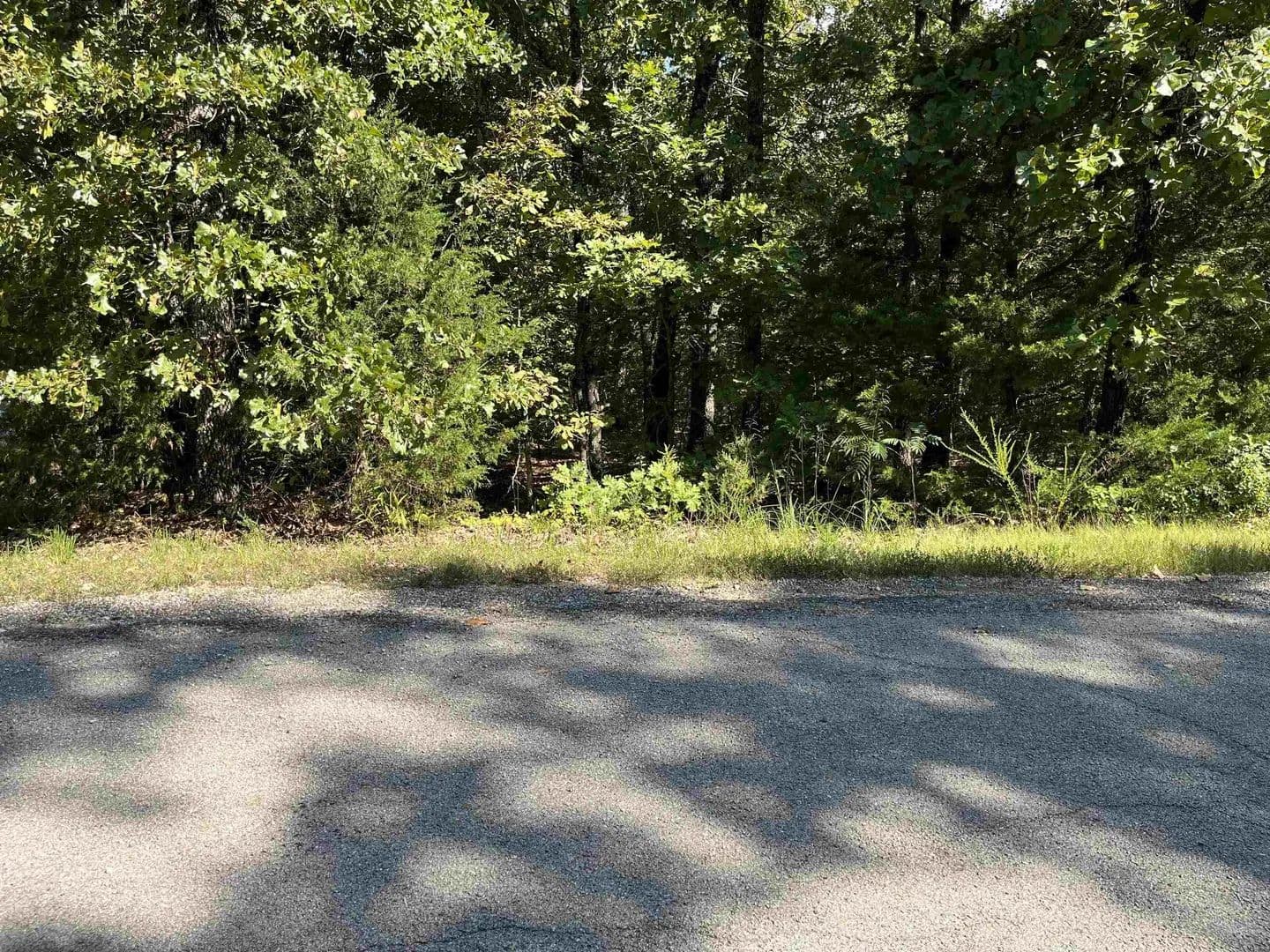 Lots & Land-Other in Cherokee Village - Cherokee Village, Arkansas, 72529