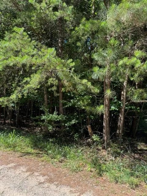 Property from 0 Southern Pines Drive - KW - Ellijay, Georgia, 30540