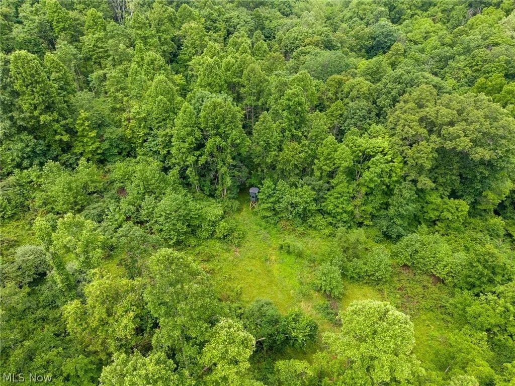 22.4 Acres of Land for Sale in Caldwell, Ohio - Caldwell, Ohio, 43724