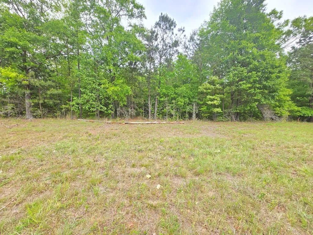 Vacant Land in Shiloh - Shiloh, Georgia, 31826