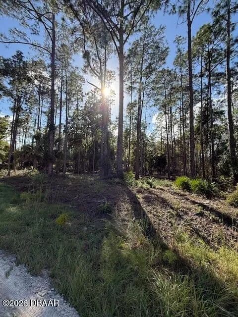 1.06 Acres of Land for Sale in Georgetown, Florida - Georgetown, Florida, 32139