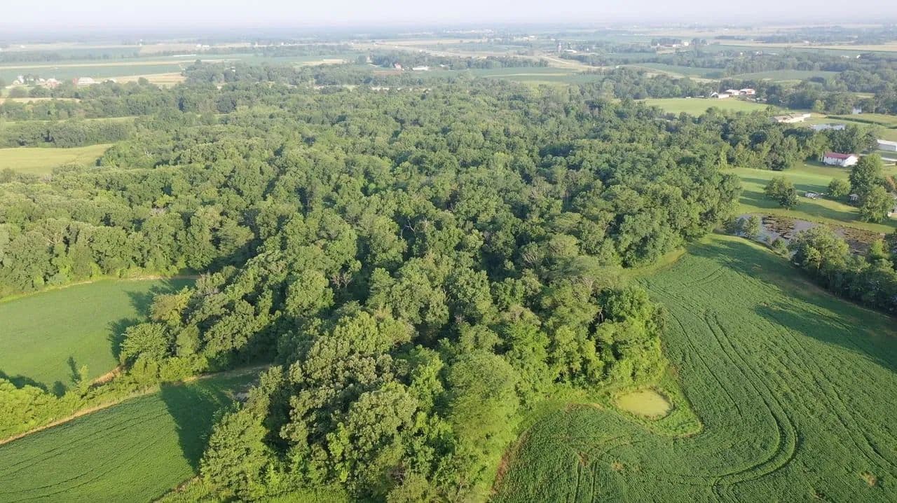 32± Acres of Prime Hunting Land, Timber Investment & Building Opportunity Near Fort Madison - Fort Madison, Iowa, 52627