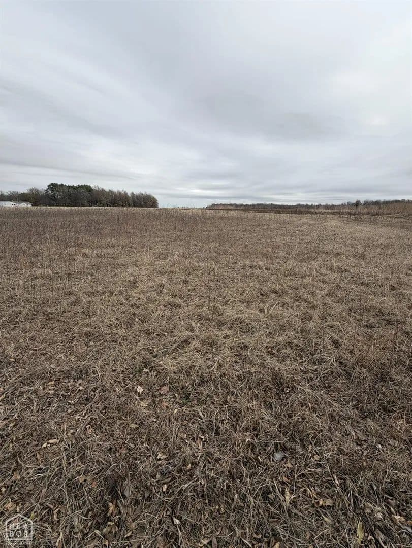 Vacant Land in Walnut Ridge