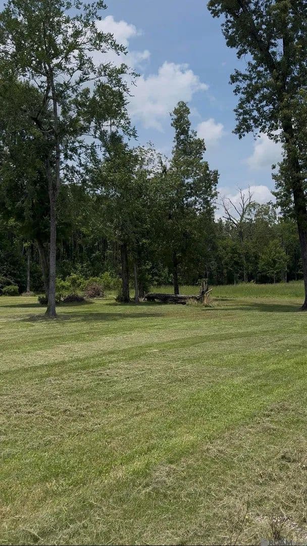 Property from 10030 Mauriel Ln - KW - Baton Rouge, Louisiana, 70817