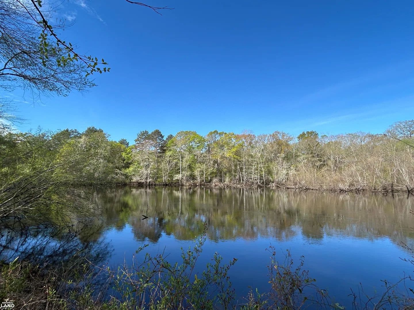 Edisto Riverfront Acreage - Ridgeville, South Carolina, 29472