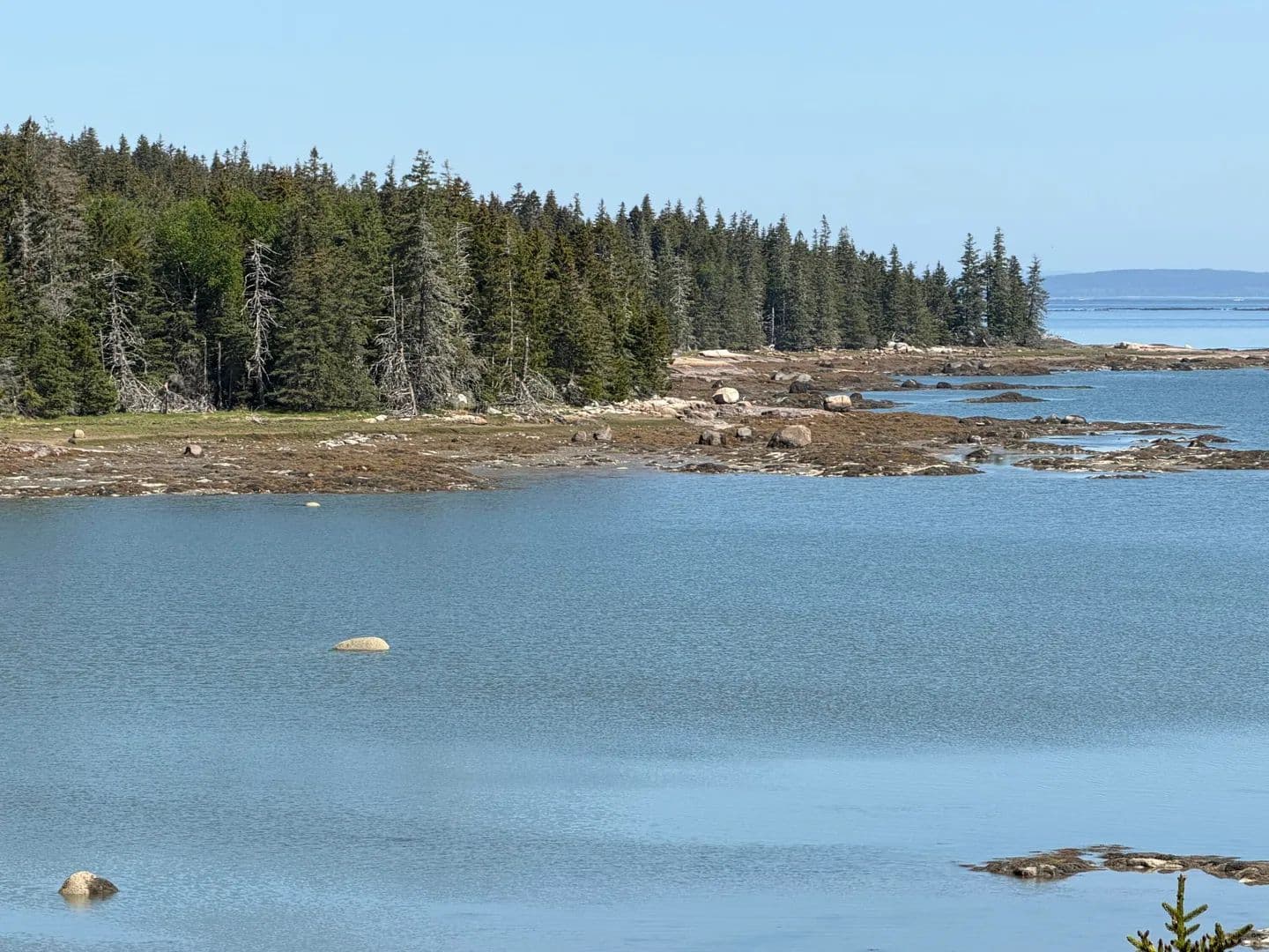 12.75 Acres of Land for Sale in Swans Island, Maine - Swans Island, Maine, 04685