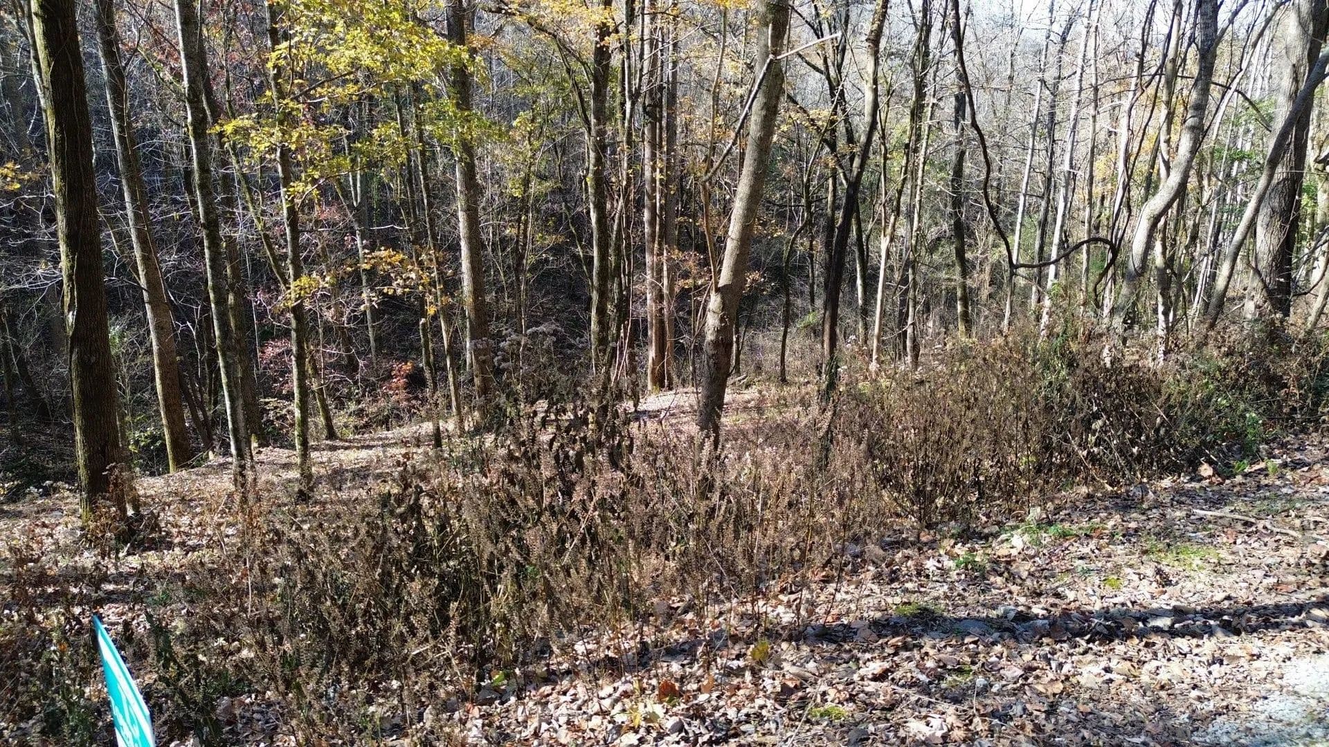 Lots & Land-Other in Smithville - Smithville, Tennessee, 37166