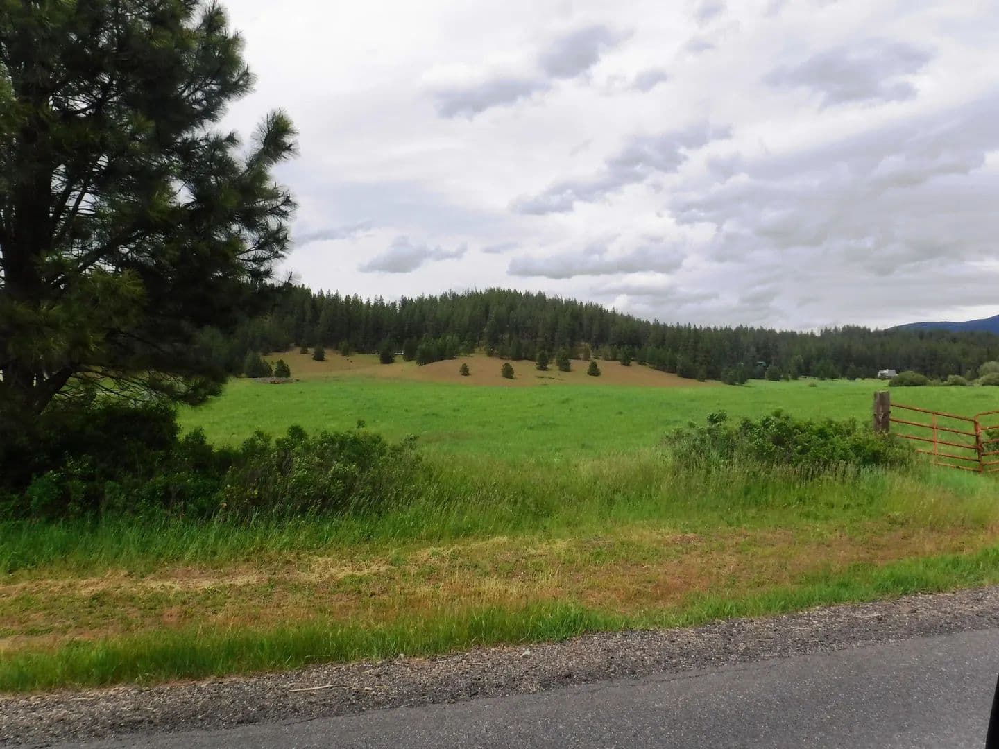 Property from XX Woolard Rd - KW - Colbert, Washington, 99005