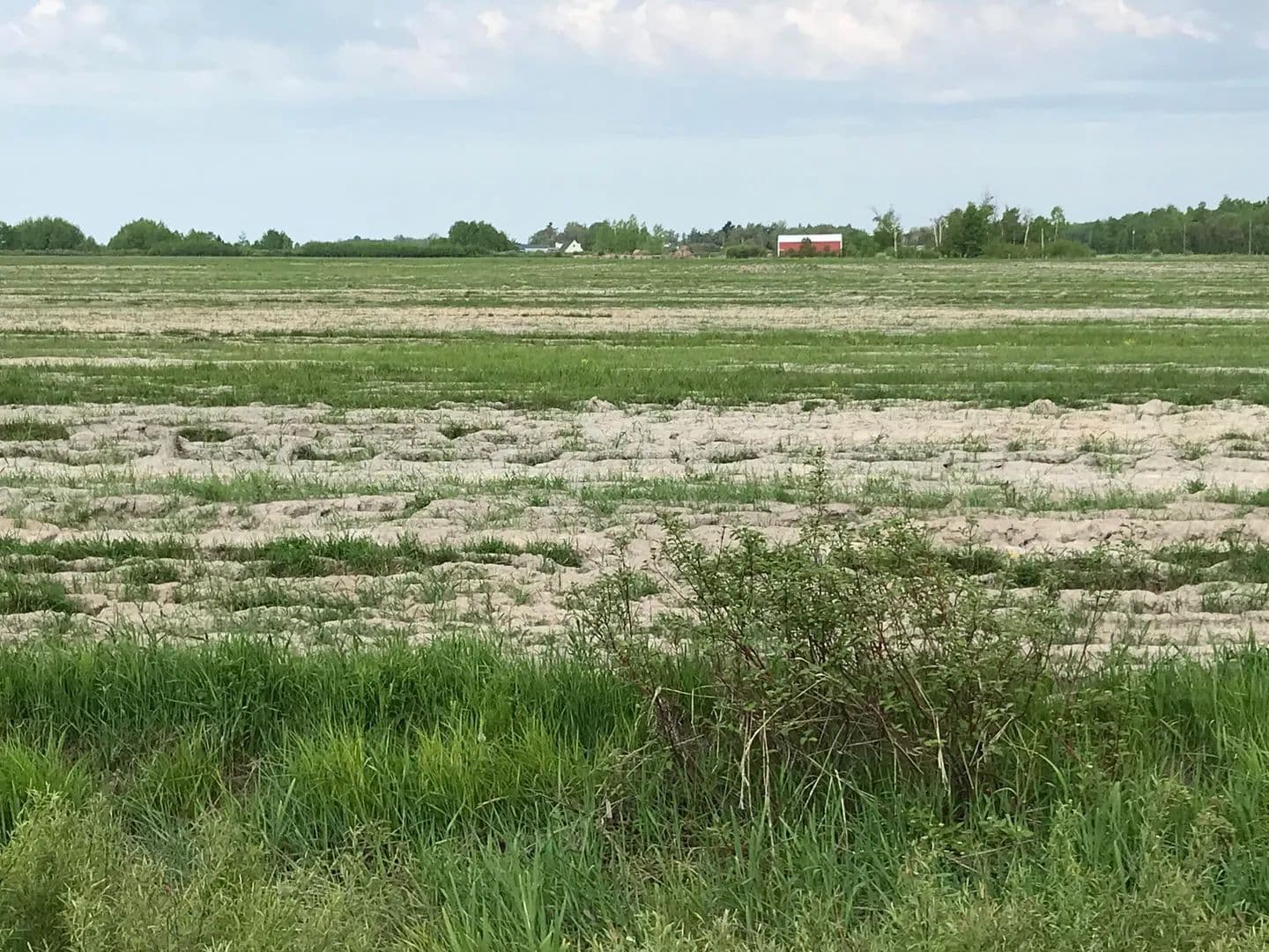 Property from TBD S Shunk RD - KW - Michigan, 49783
