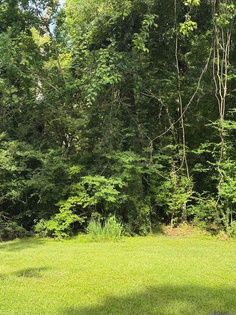 Property from 42062 Galtier Zito Ln - KW - Prairieville, Louisiana, 70769