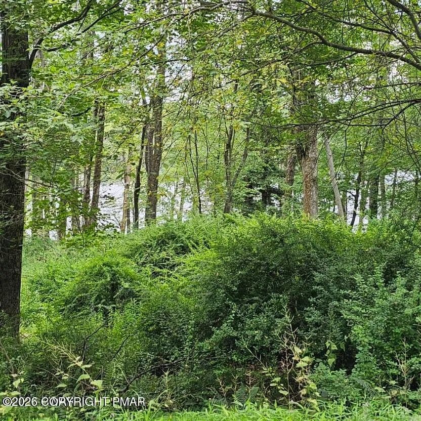 0.96 Acres of Land for Sale in Newfoundland, PA - Newfoundland, Pennsylvania, 18445