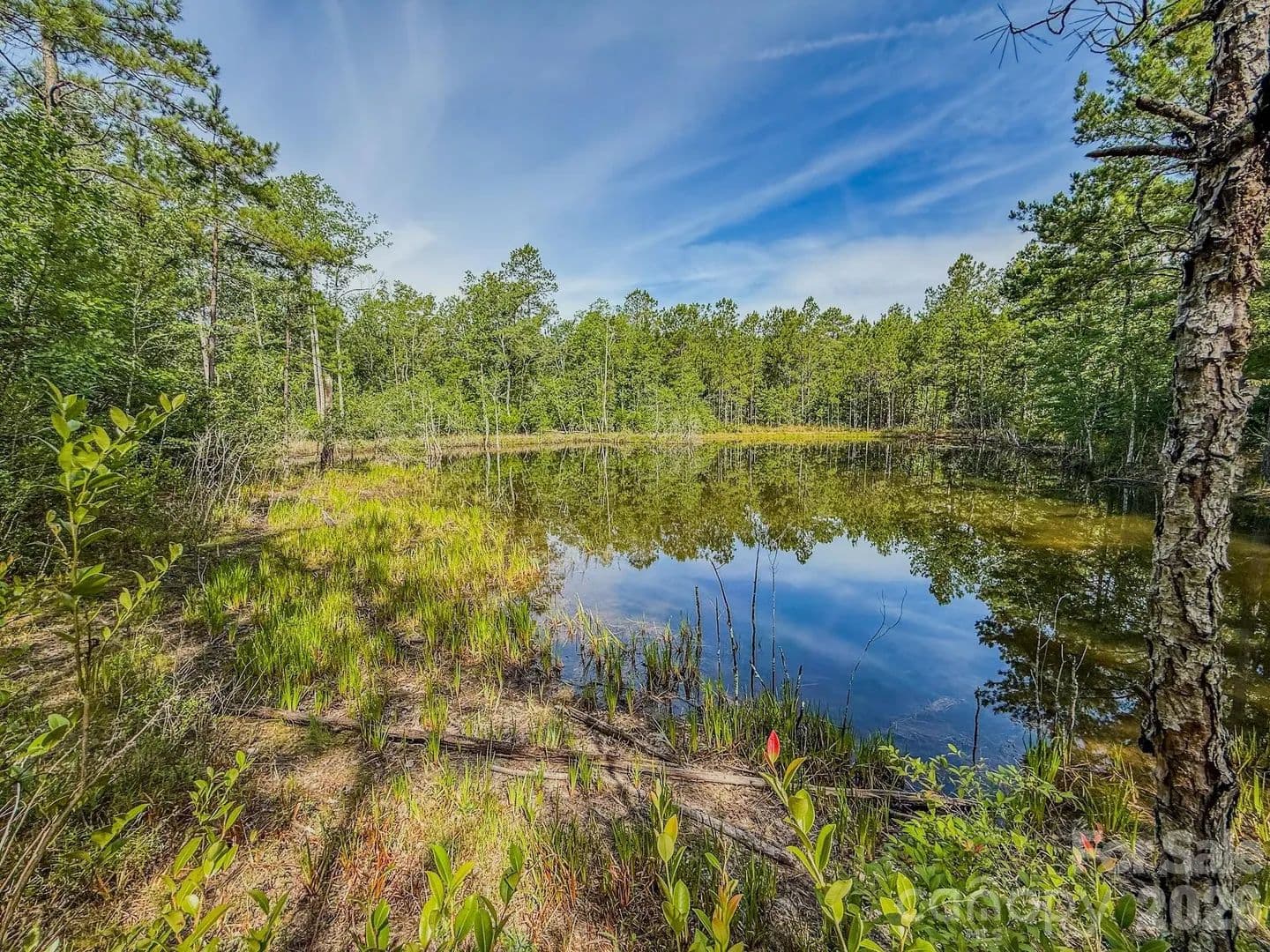17.1 Acres of Land for Sale in Patrick, SC - Patrick, South Carolina, 29584