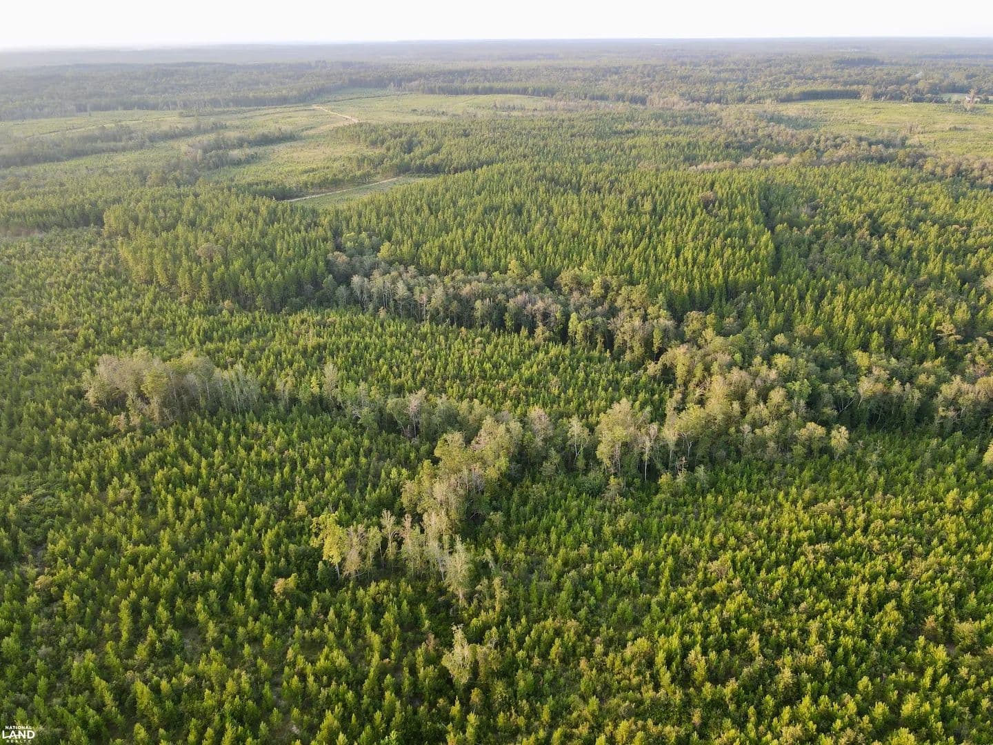 Avera Picayune Creek Timber & Hunting Investment North - Leakesville, Mississippi, 39451