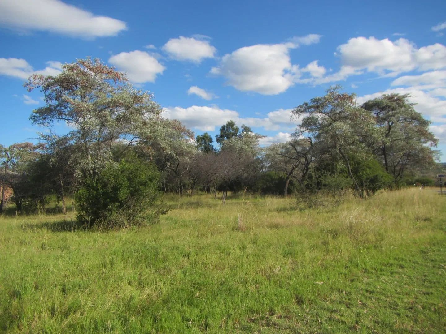 994 Acres of Land for Sale in Modimolle, Limpopo - land for sale