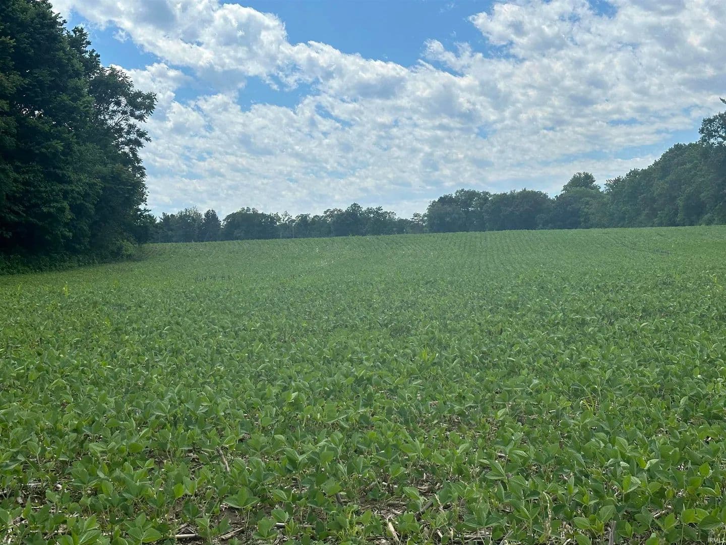 8.86 Acres of Land for Sale in Lafayette, Indiana - Lafayette, Indiana, 47905