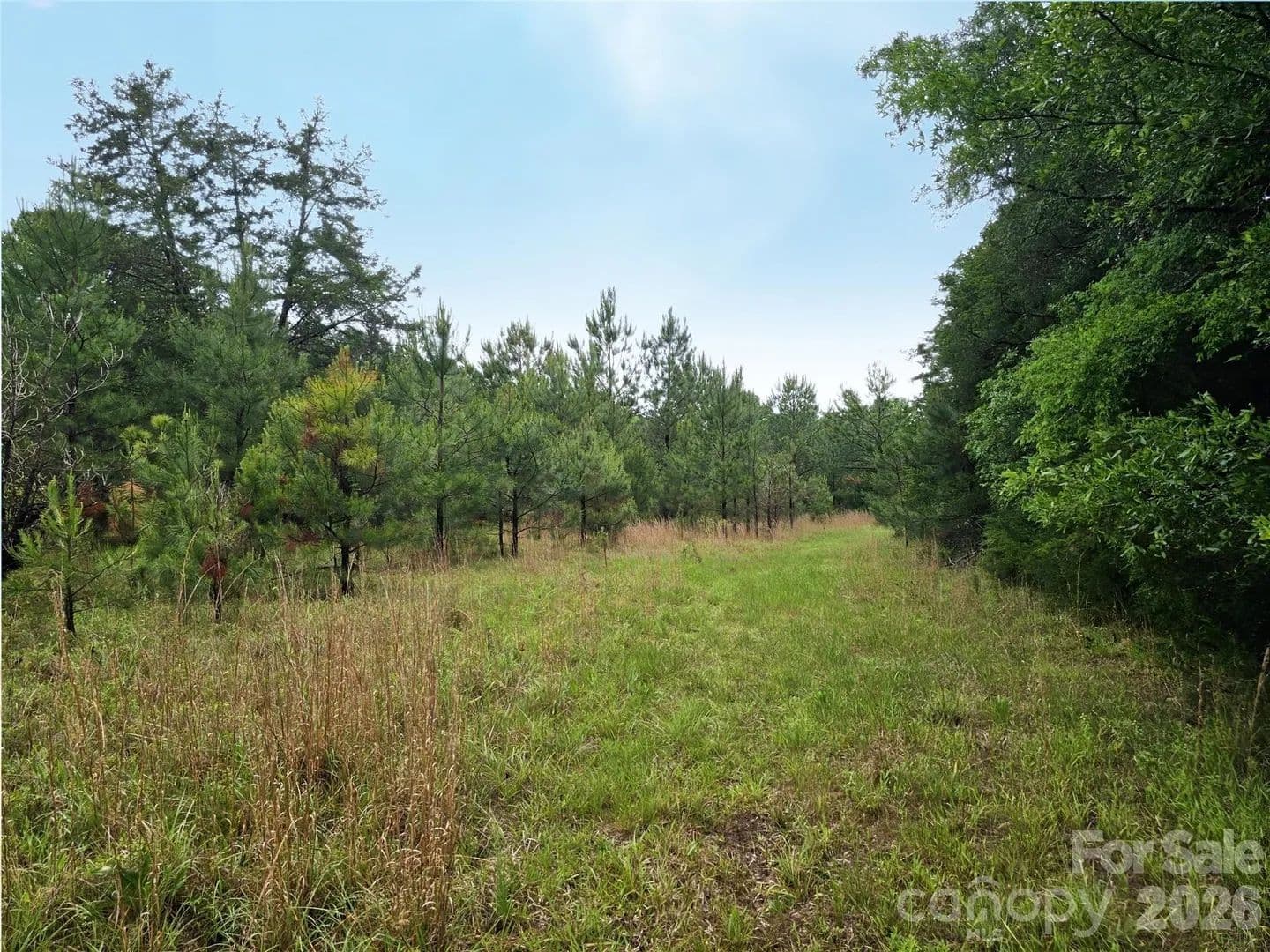 Property from 0000 Shirley Road - KW - Fort Lawn, South Carolina, 29714