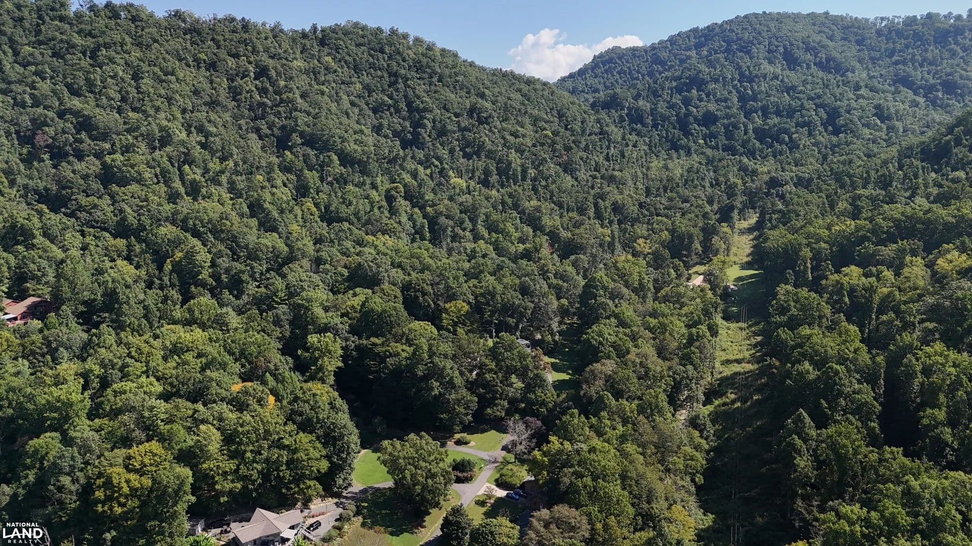 101± Acre Creekside Woodland Tract - land for sale