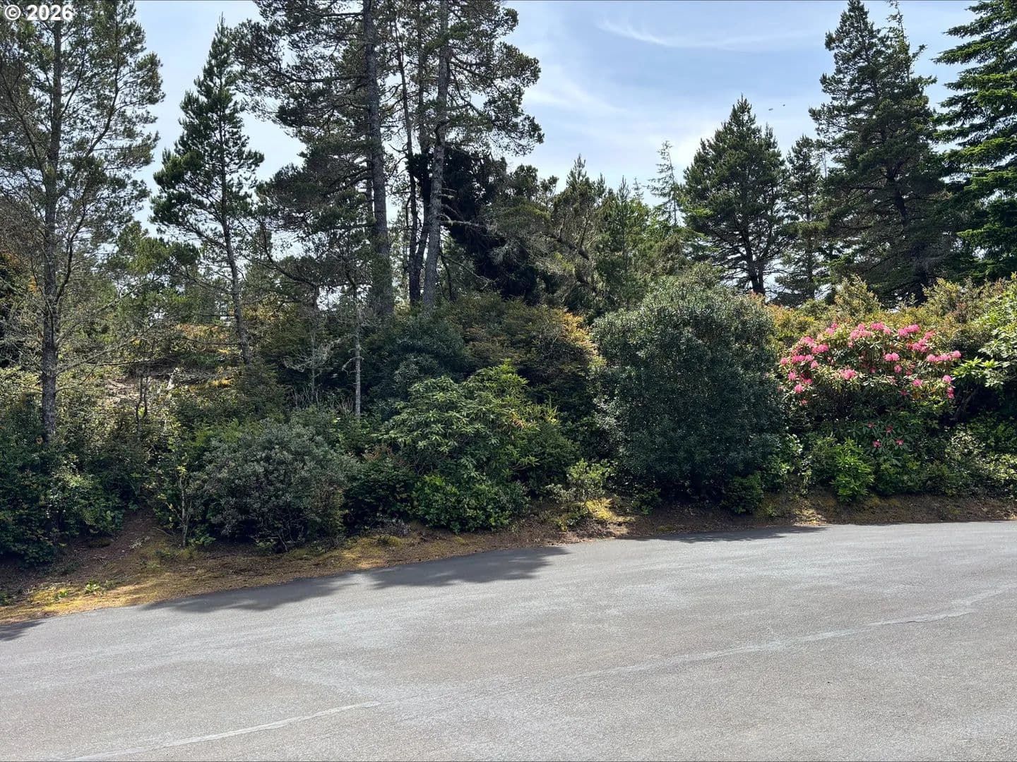 Property from KELSIE CT - KW - Florence, Oregon, 97439