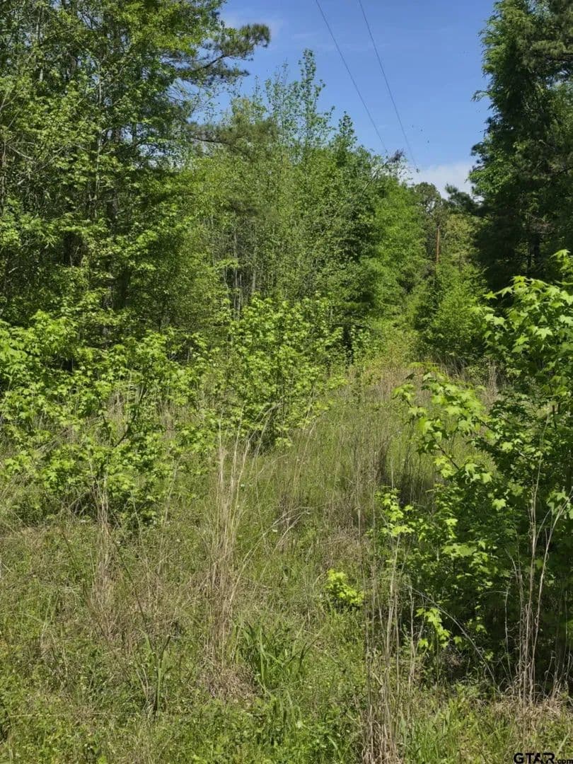 5 Acres of Land for Sale in Tyler, Texas - Tyler, Texas, 75704