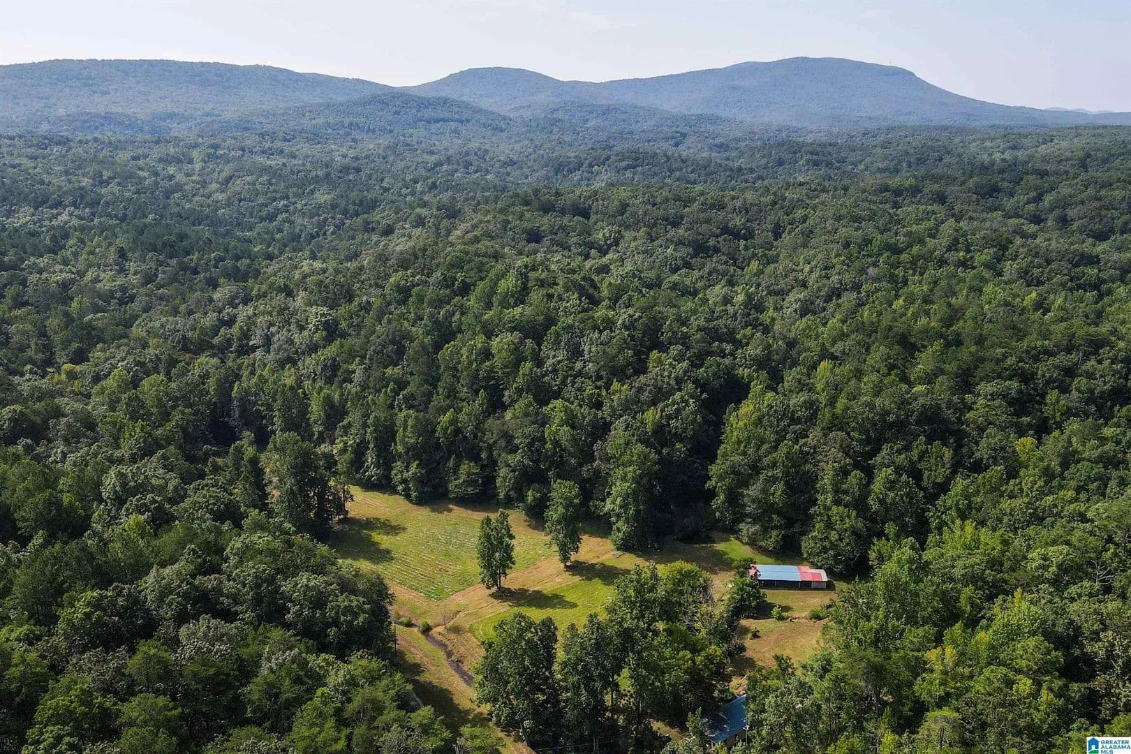 40 Acres of Land for Sale in OXFORD, AL - land for sale