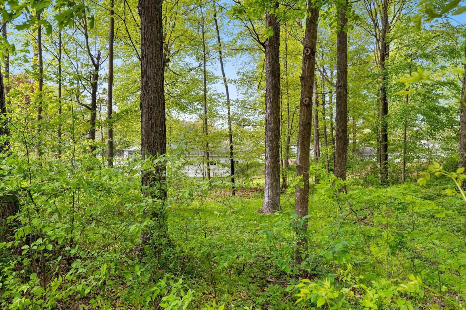 Property from VANS Lane #13.1 - KW - Casco, Wisconsin, 54205