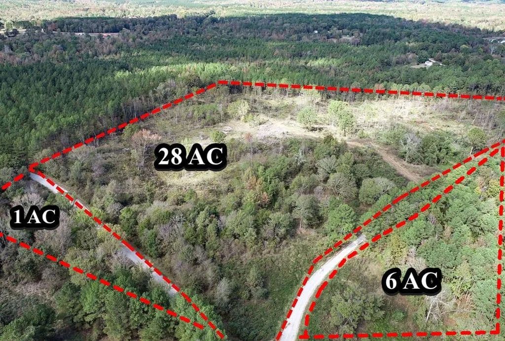 37 Acres of Land for Sale in Tillatoba, Mississippi - Tillatoba, Mississippi, 38961