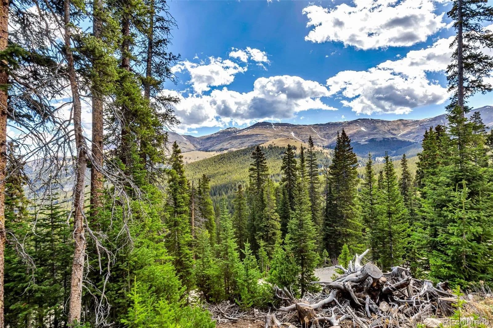Property from 413 Carroll Lane - KW - Breckenridge, Colorado, 80424