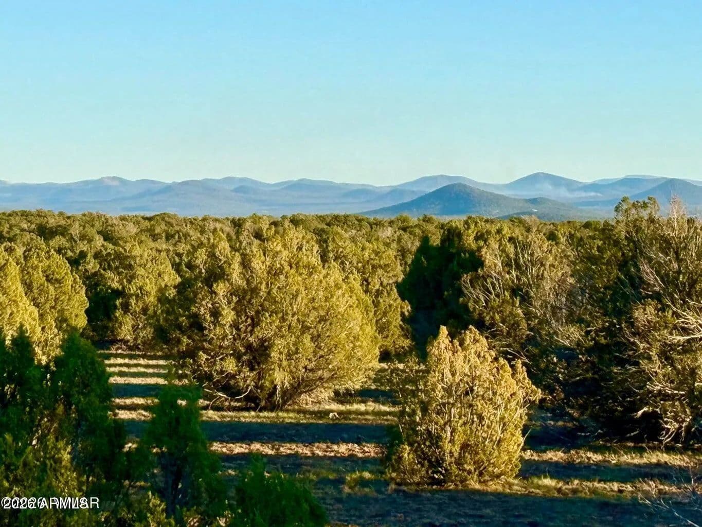 Property from 9023 Appaloosa Trl Lot E, 10 Acres -- #- - KW - land for sale