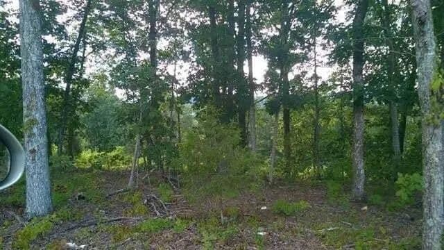 Property from 104105 Peach Orchard Hill Road NE - KW - Cleveland, Tennessee, 37323