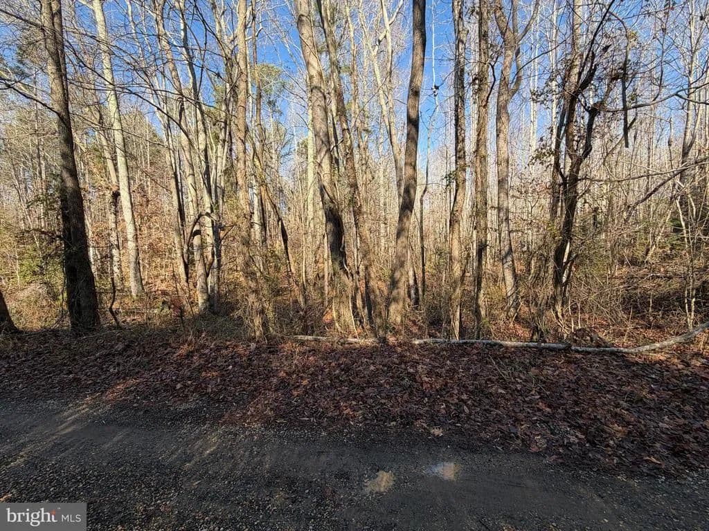 Property from Lot 2A TURKEY ACRES RD - KW - King George, Virginia, 22485