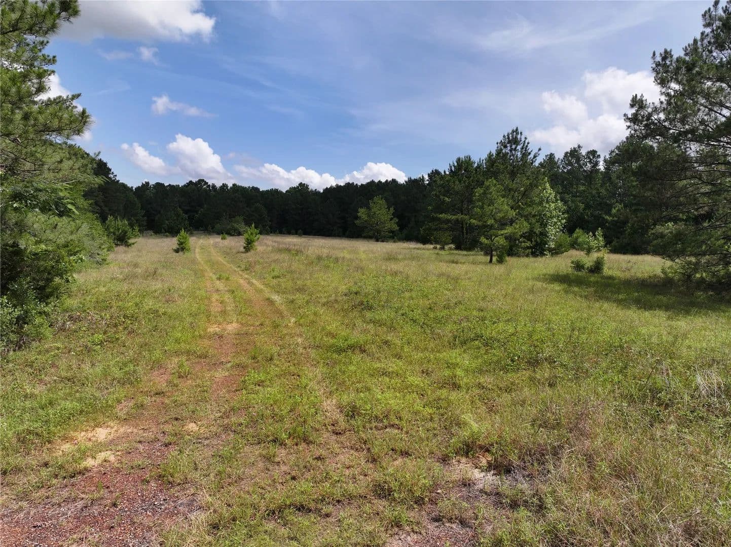 Property from na CR 3050 - KW - land for sale