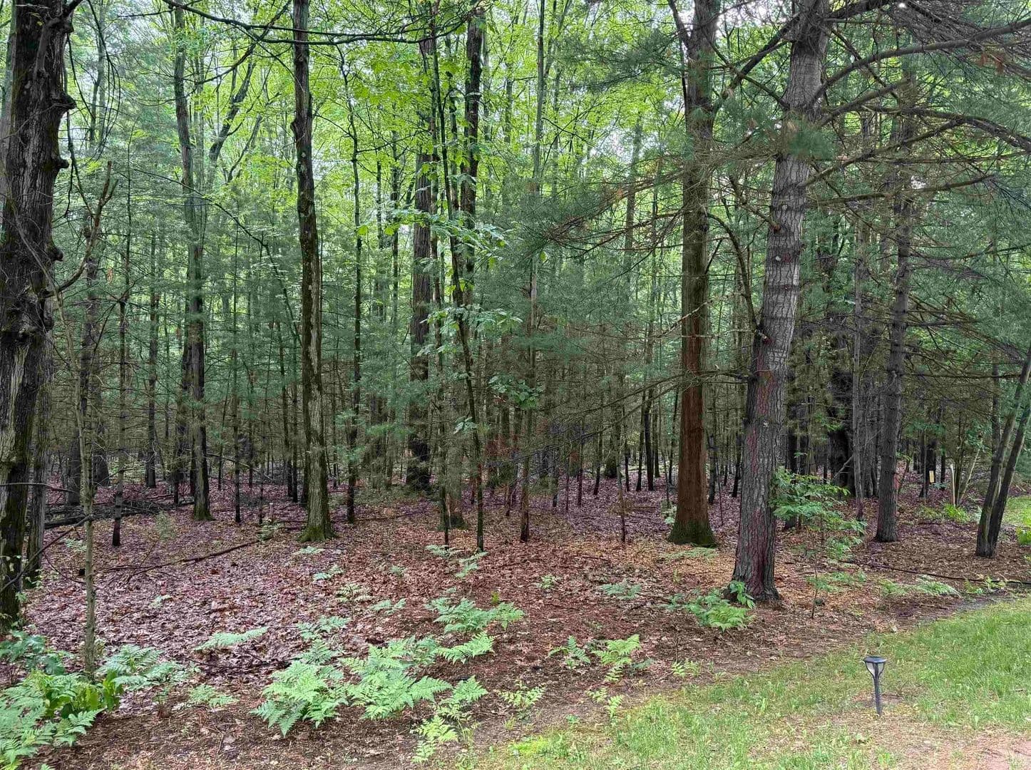 1.08 Acres of Land for Sale in Sanford, Michigan - Sanford, Michigan, 48657