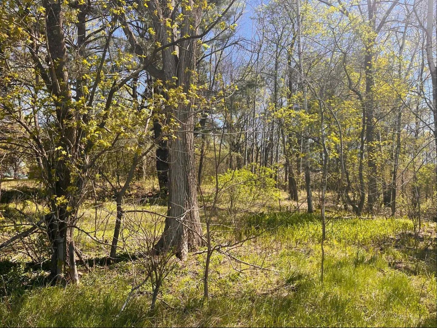 Vacant Land in Saint Croix Falls - Saint Croix Falls, Wisconsin, 54024