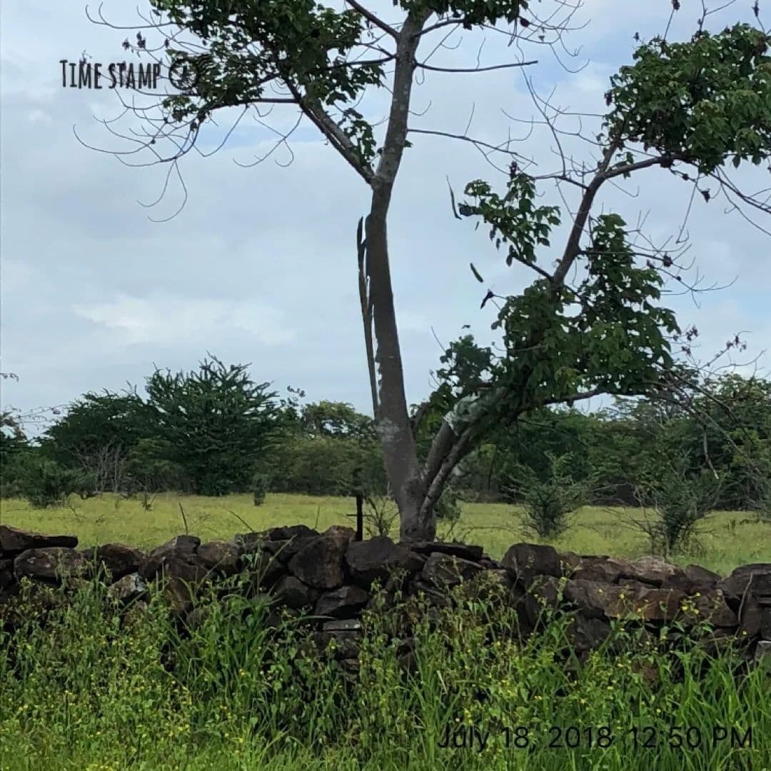 VENTA DE EXTRAORDINARIO TERRENO COMERCIAL - land for sale