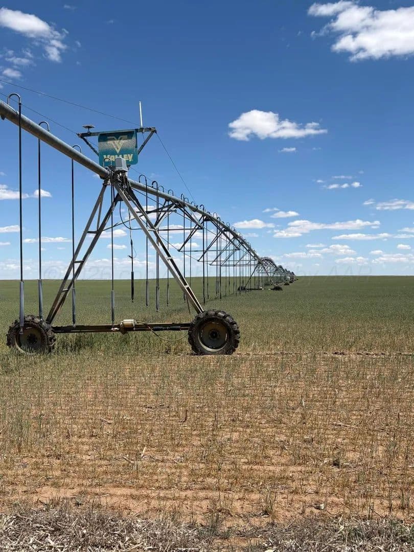 Property from 000 000 - KW - Dalhart, Texas, 79022