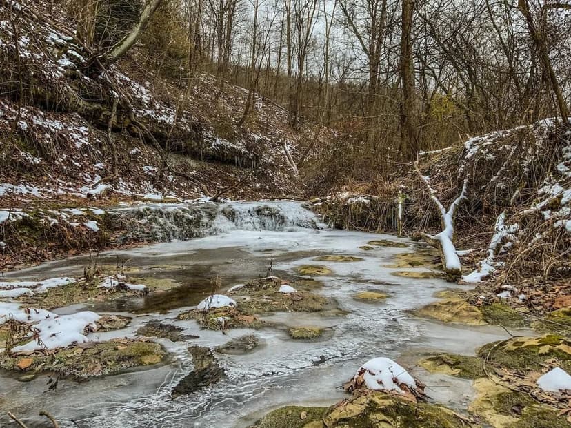 Trough Run - 25 acres