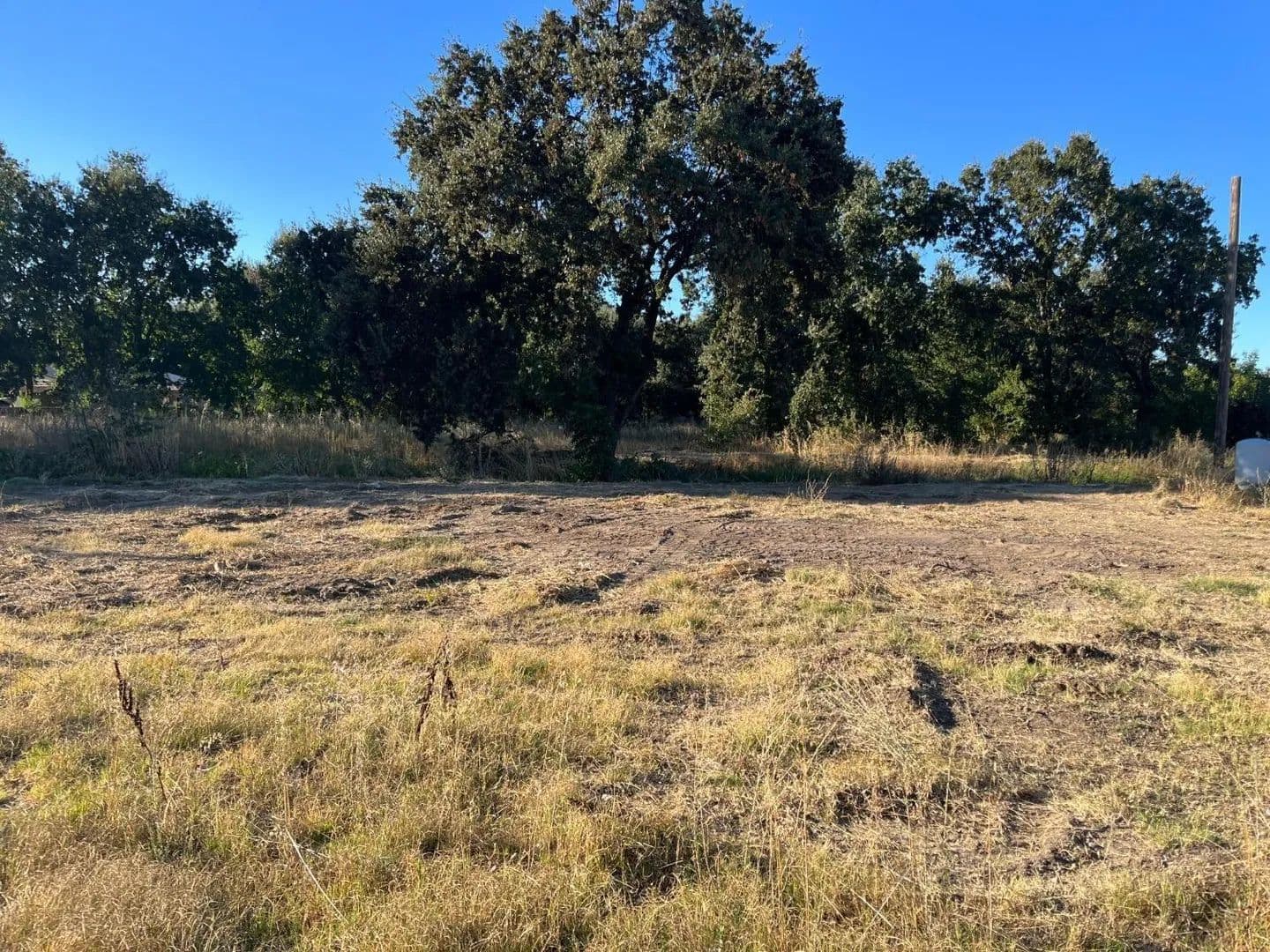 Property from 50 Dakota Avenue - KW - Biggs, California, 95917