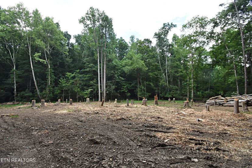 Property from 0 Early Rd #4 - KW